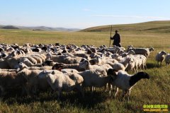 [�Ƽ�Է����]�����߹Ǿ��ܶ�׬Ǯ