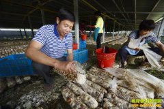 [ũ�����]�Ͼ�������Ģ����Ƶ