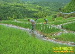 [�Ƽ�Է]������˴���