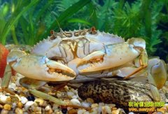 [ÿ��ũ��]��ǿ��׳ ������з�Ե��ϲ���