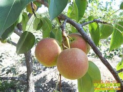 [ÿ��ũ��]�����桱���Ϲ����ܻ�ӭ