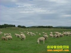 [ÿ��ũ��]�Ըʲݵ������۸�