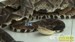 [�¸���]���Ǳ�����Σ�ձ�����̻�