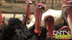 [�¸�������]��������4000Ԫ��ʼ�ĲƸ�����