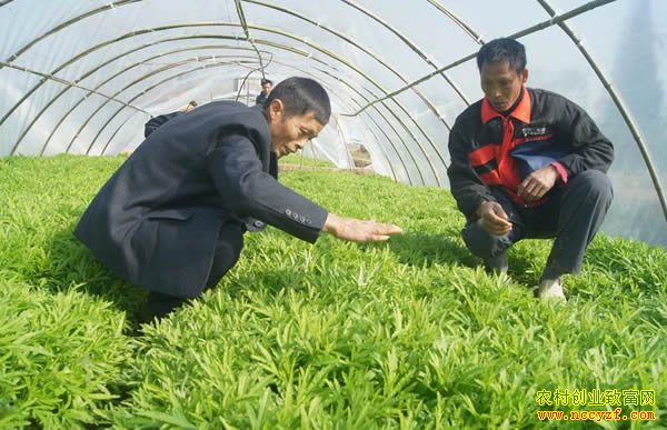 ������ֲ޼��