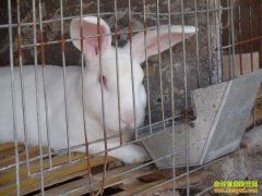 [�����¸�����]�Ͽ����� �����������ֻ