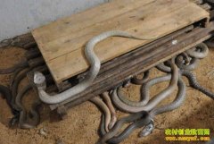 [�����е�����]�������Խ��90��С���������