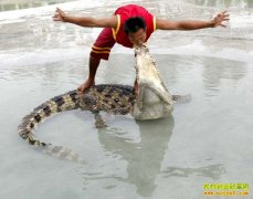 [�����е�]ѱ�޸���ϵ��-������Ƶ�ѱ����ʿ