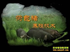 [�Ƽ�Է����]������Ϊ�˶����ɰ���