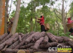 [��ɫʱ��]СС���Ͻ��������ũǮ����