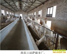 [ũ�����]��ũ������ɽ����ֳ������Ƶ