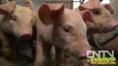 [�¸���]��ǿŮ���������������Ĵ�ҵ����