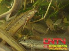 [�����е�������]���׷���̨������������