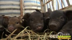 [�¸���]Ϊ������ ����ϼ������Ұ��