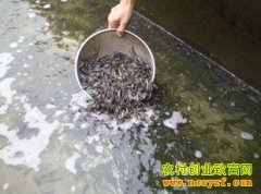 [�Ƽ�Է]��������������Ƶ