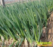 [ÿ��ũ��]1��1���� ���������г�