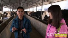 [�¸�����ţ]���С����Ƶ�ǧ����֮��