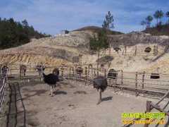 [�Ƽ�Է]������Ϊ�������������