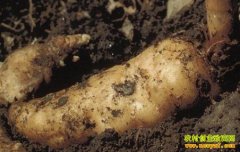 [ũ���¸���Ŀ]������ǼҼһ���������