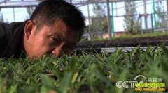 [�¸���]��ֵǮ�Ĳݸ������������ľ޶�Ƹ�