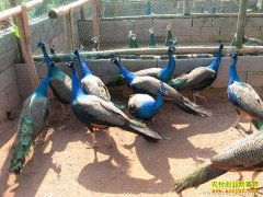 [�Ƽ�Է]��ѿ�ȸ����������������ȸ��