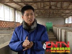 ũ��80��ĲƸ�����