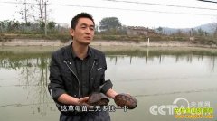 [�¸���]�����������нʧ�ܱ��Ʊ�����������