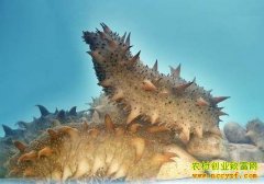 [�����е�]�����������𲽵ĲƸ�����