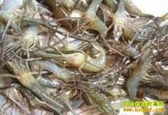 [ÿ��ũ��]���γ��� ëϺС�������۸�