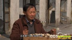 [�¸���]����Ҫ�ý�����׬Ǯ