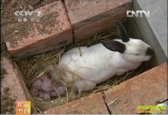 [�Ƽ�Է����]���������� ��ô��