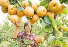 [ÿ��ũ��]�����ްԡ���� �����桰�󡱲�һ��