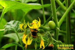 [ũ�����]���Ҵ��﷬���ܷ��ڷۼ�����Ƶ