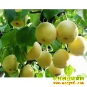 [ũ�����]�״�������Ʒ����ķ�����Ƶ