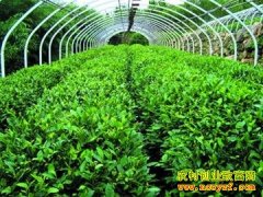 [ũ�����]���������԰Խ������������Ƶ