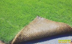 �¸�����Ŀ���̻���Ƥ���� �ͻ������µ�