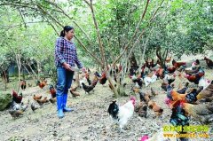 [ũ�����]��կ��ʤ�Ｆ��ֳ��Ƶ