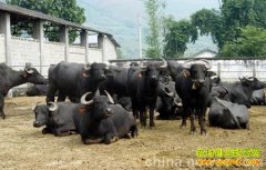 [ÿ��ũ����ţ]ţ��������