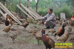 �Ĵ���̨��ΰ��ѧ��ҵ��Ұ���¸�����