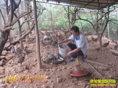 ����С��߼��ͣ���׼�յ���Ұ������������20��