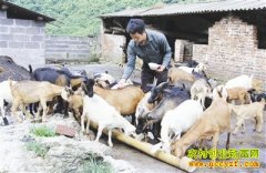 �⳯��������緢����ơ�