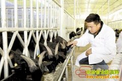 90��С��¿����ϼ������ֹ���