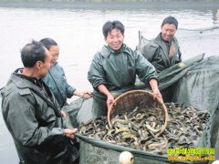 ̨�������Ķ���������(̨��������ֳǰ������)