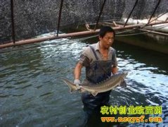 [�����е�]��������������ӽ���