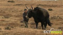 [�¸���]�Խ��������ƽ�����ţ