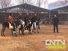 [�¸�����¿]���Ҳ� �ܺ��쿿¿����