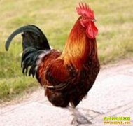 [ÿ��ũ������]�ѶԸ��ĺ�����