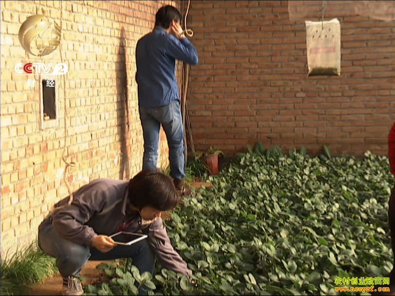 ÷����Դÿһ����Ŀ�ĵ��н׶ζ�Ҫ��10������