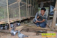 �������������������ɳ��������¸�����