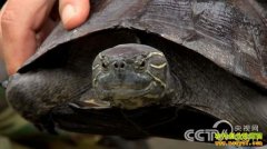 [�¸���]�������ꡱ�ı����˵��¸ڹ��˵˵���